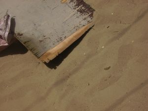 EXPO A ST LOUIS EXPO A ST LOUIS